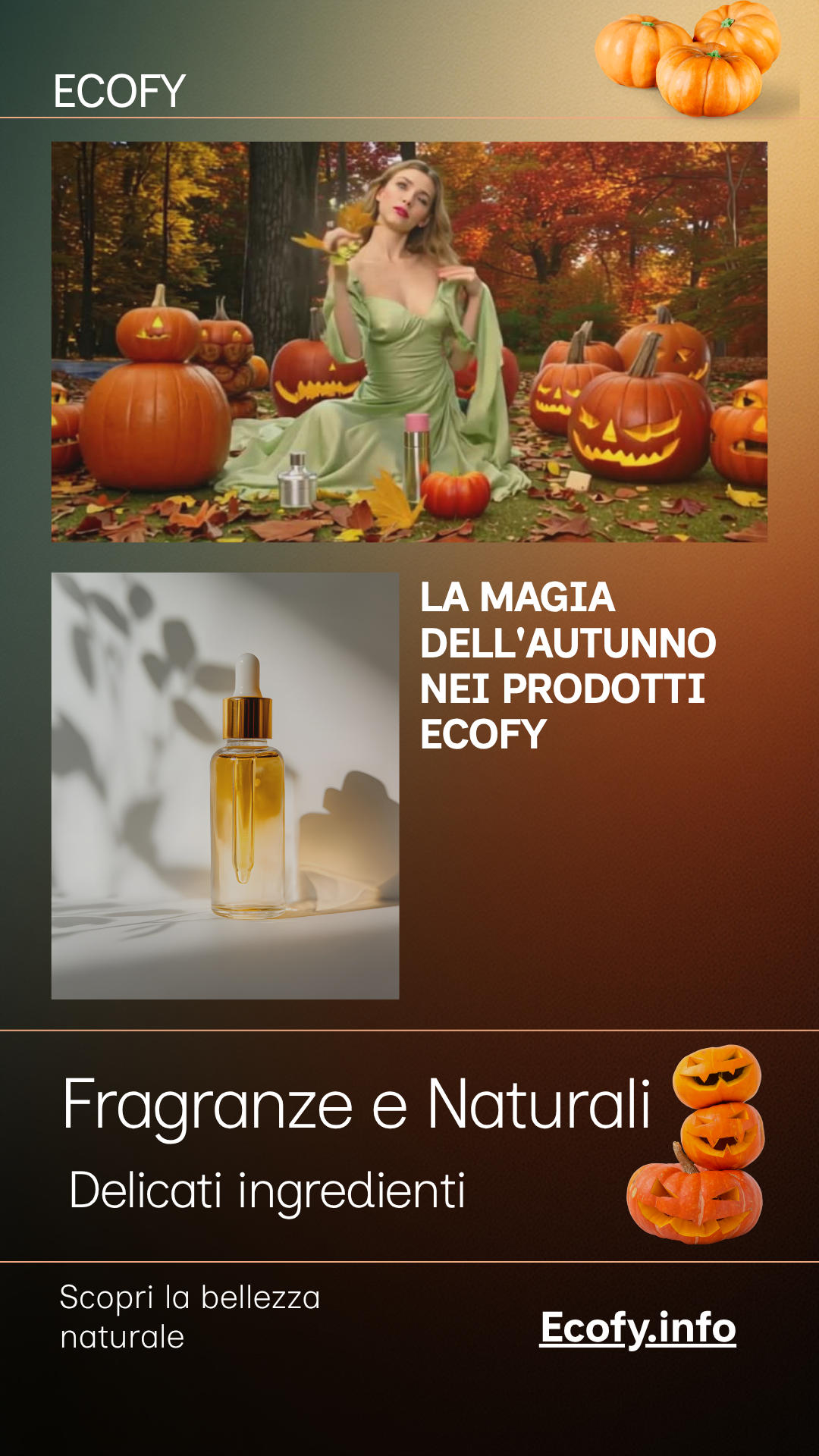 Eyeshadow (Matte) (Refill) - Ecofy