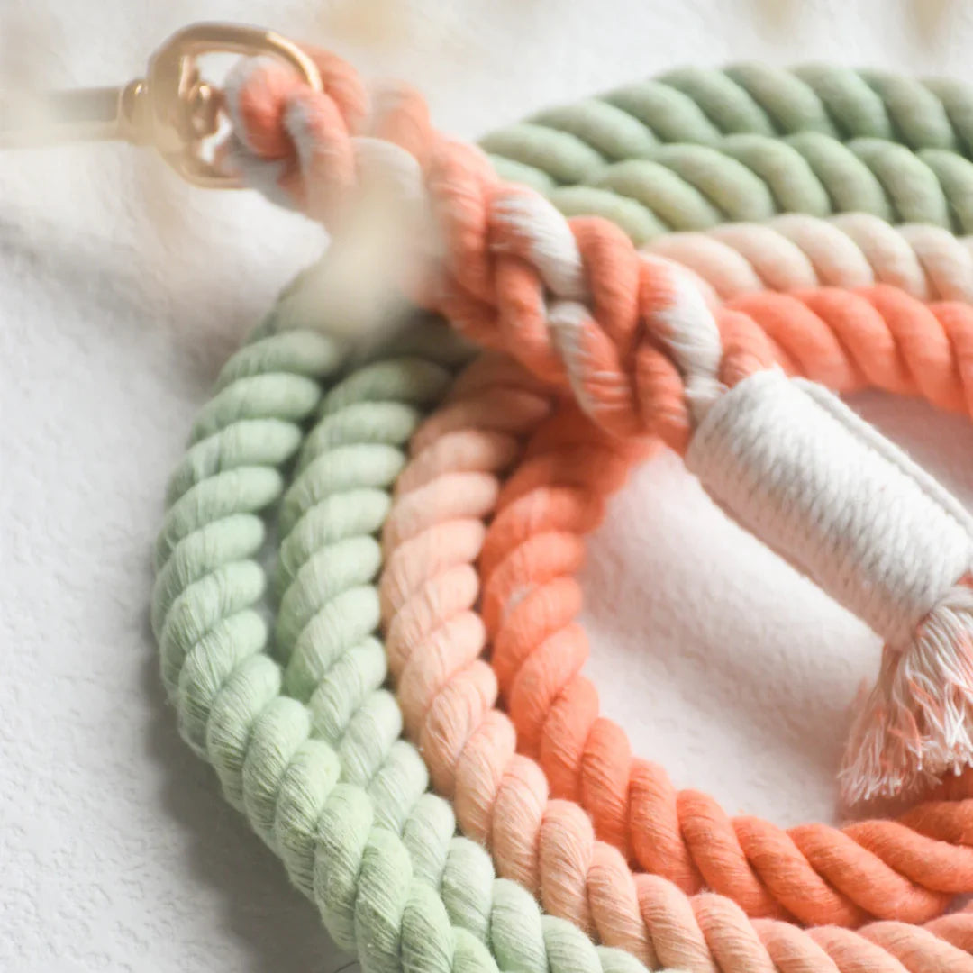 Guinzaglio in Corda di Cotone - Bubble Soda